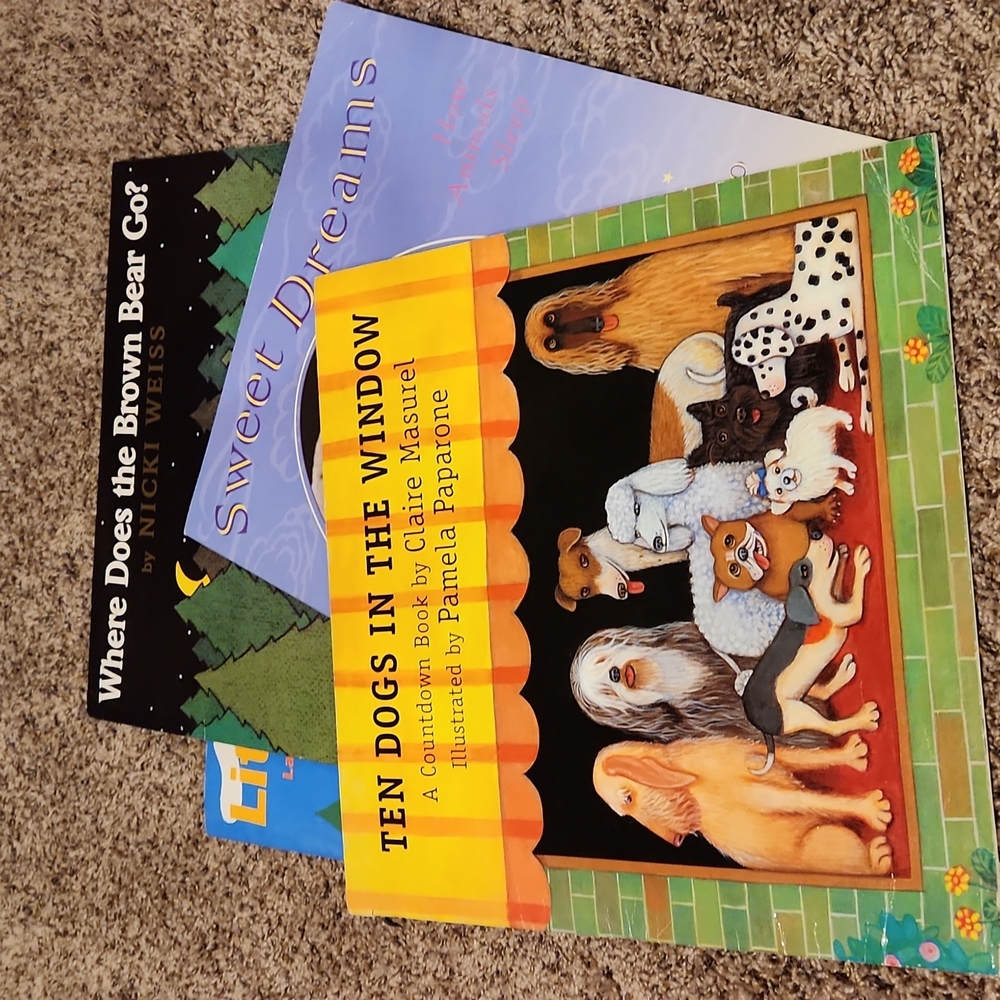 Extra Large children's books Set of 4